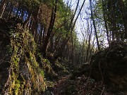 13 Dal sole del prato al sole all'ombra del bosco